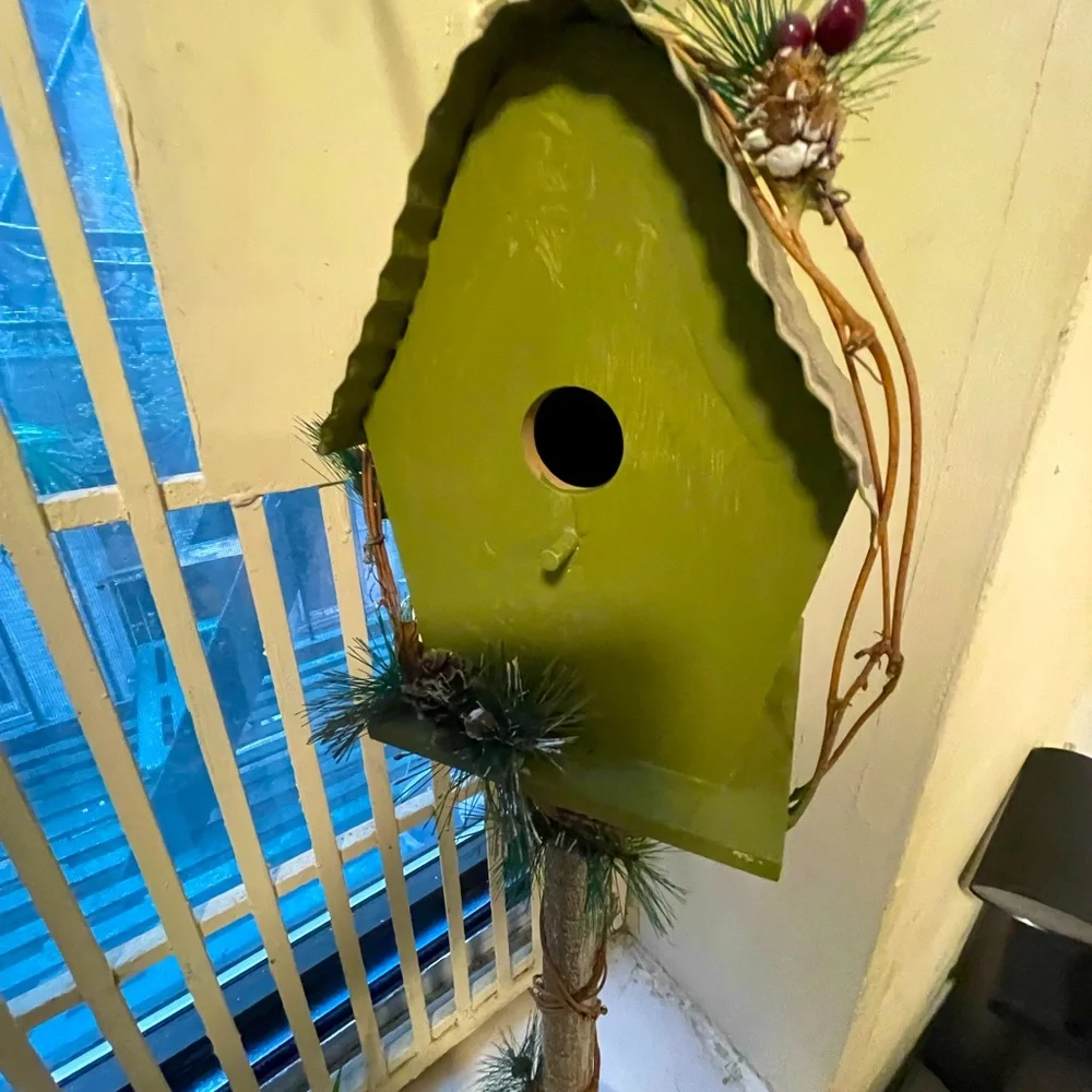 Birds feeder perfect for the spring, beautiful bird, going to come by